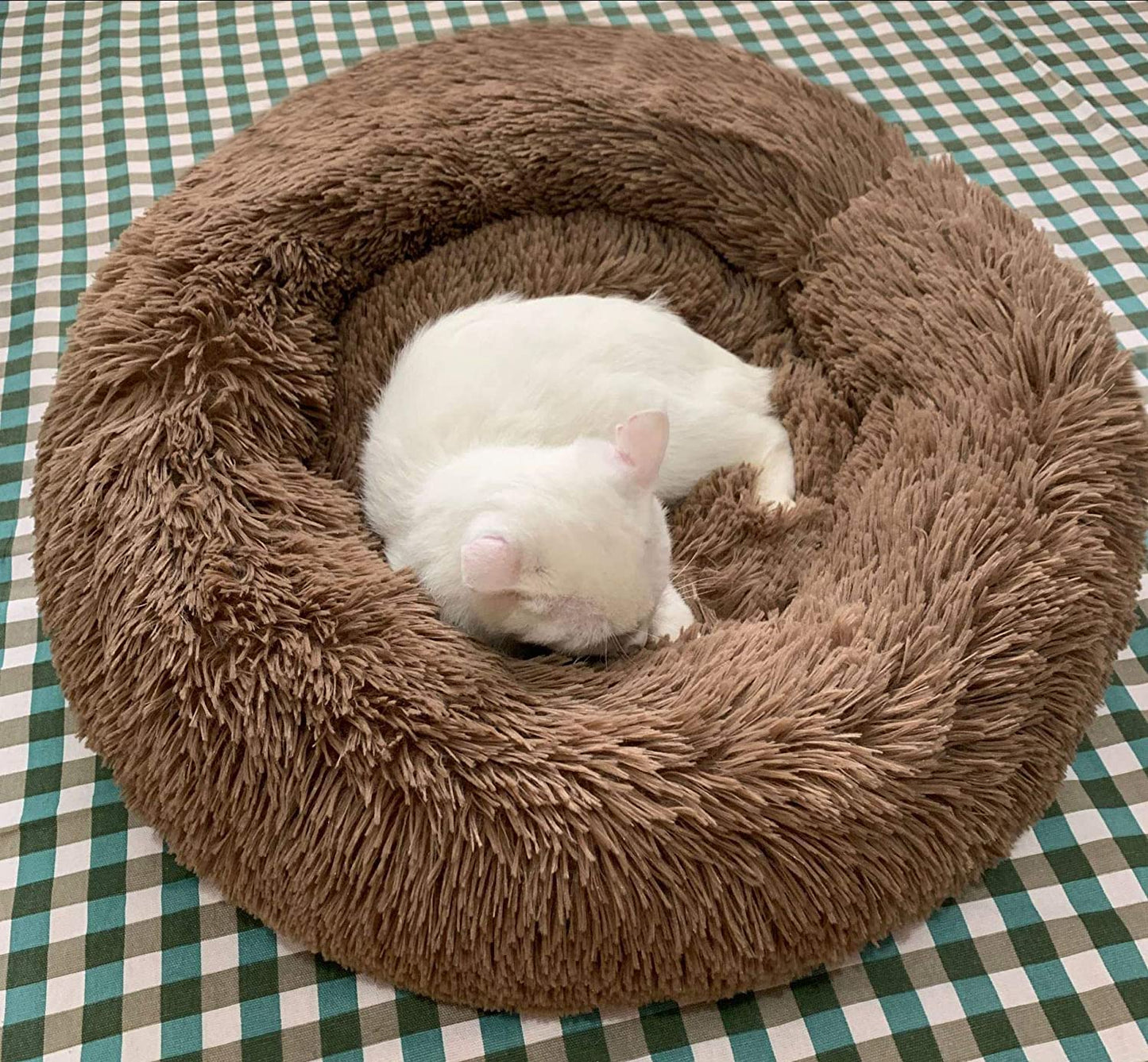 🔥BIG SALE - 48% OFF🔥🔥Comfy Calming Dog/Cat Bed
