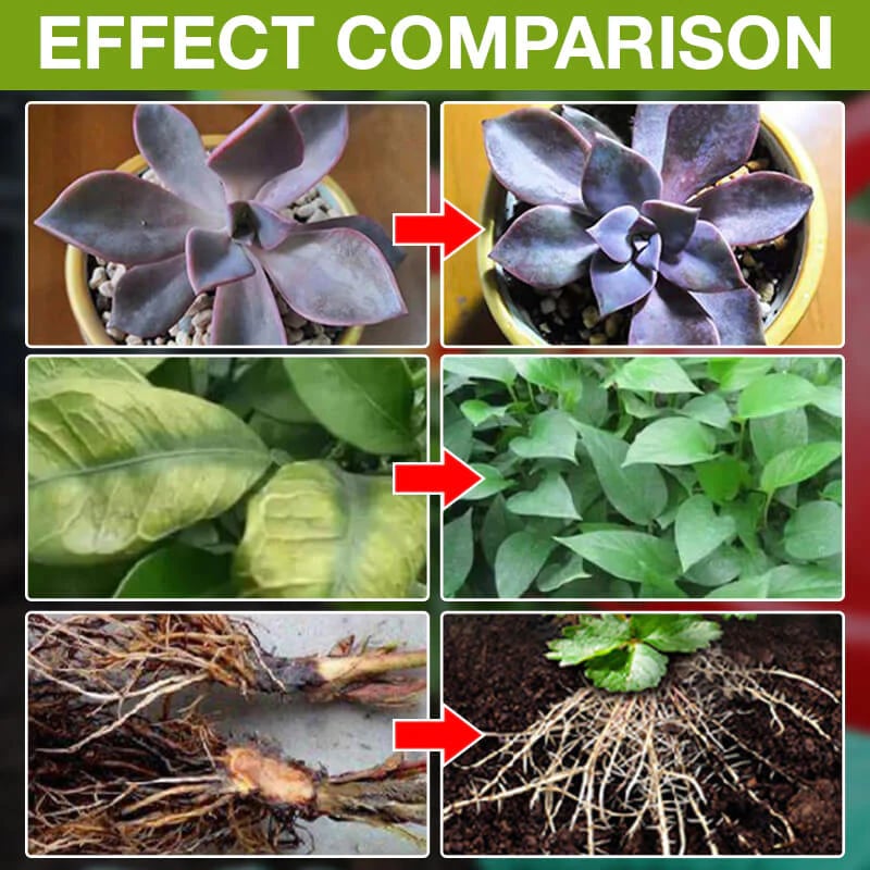 🔥 BIG SALE - 40% OFF🔥Plant Growth Enhancer Supplement