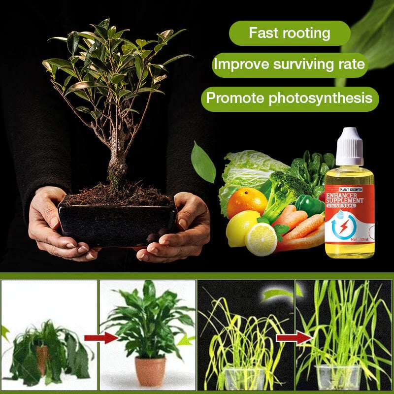 🔥 BIG SALE - 40% OFF🔥Plant Growth Enhancer Supplement