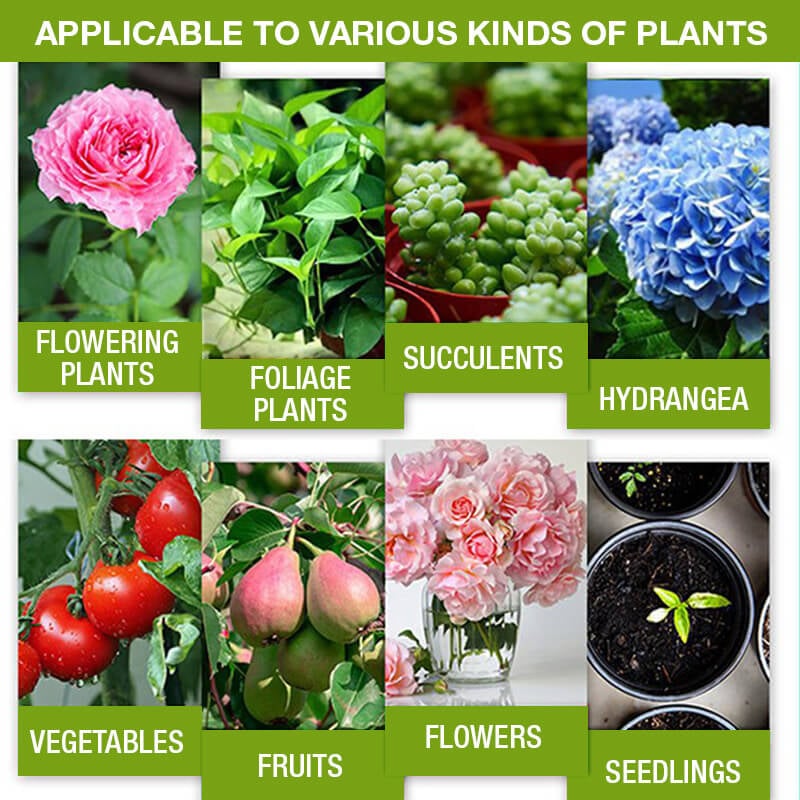 🔥 BIG SALE - 40% OFF🔥Plant Growth Enhancer Supplement